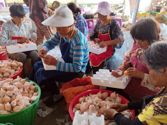 资阳乐至：枇杷满枝头 集体经济的“甜蜜答卷”