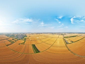 时雨及芒种 四野皆插秧