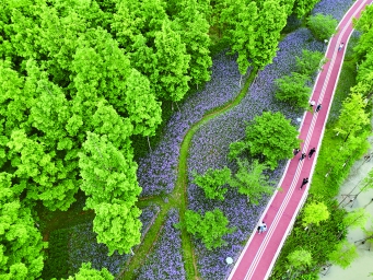 初夏时节，万物繁茂，生机勃勃