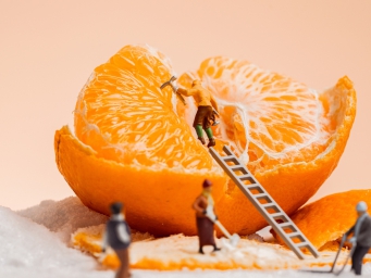 “双向奔赴”，水果贸易折射中国经济活力