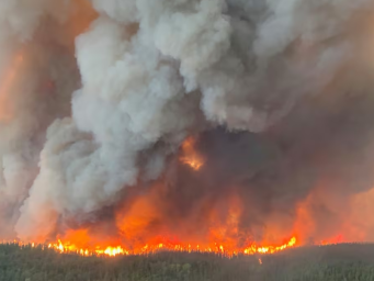加拿大野火肆虐 过火面积超7.3万平方公里